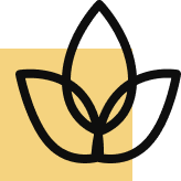 Cadre Paradisiaque
